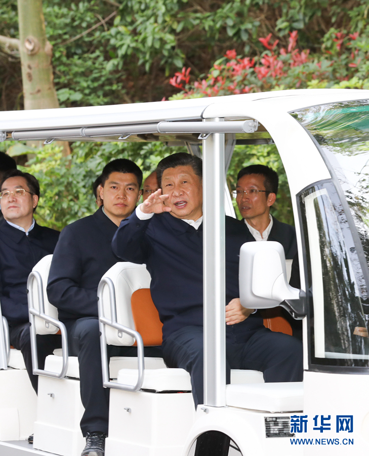 http://www.xinhuanet.com/politics/leaders/2021-03/25/1127254519_16166772256261n.JPG