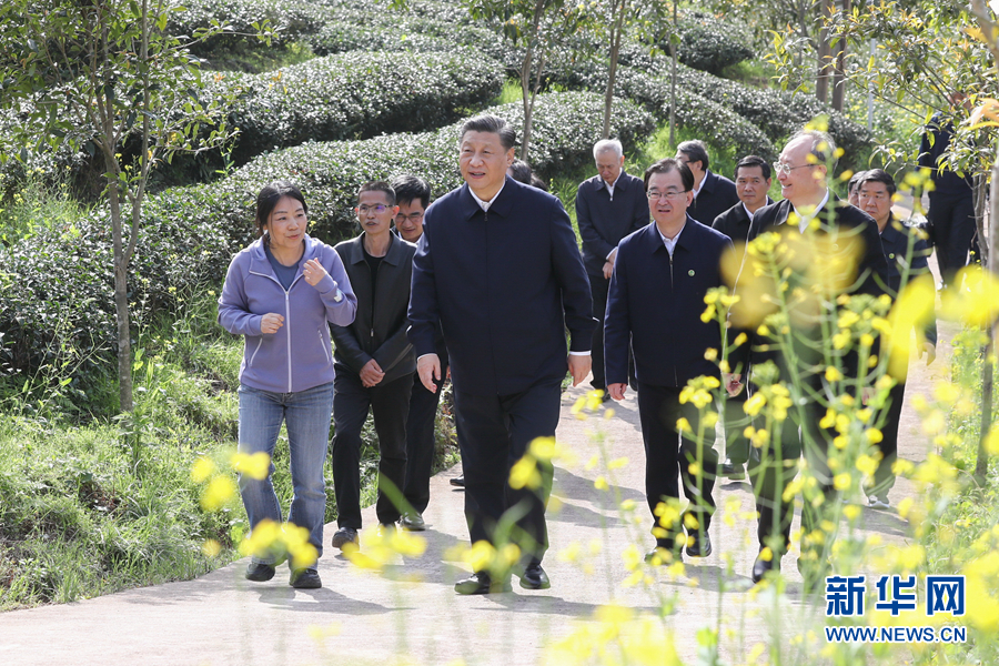 http://www.xinhuanet.com/politics/leaders/2021-03/25/1127254519_16166772255471n.JPG